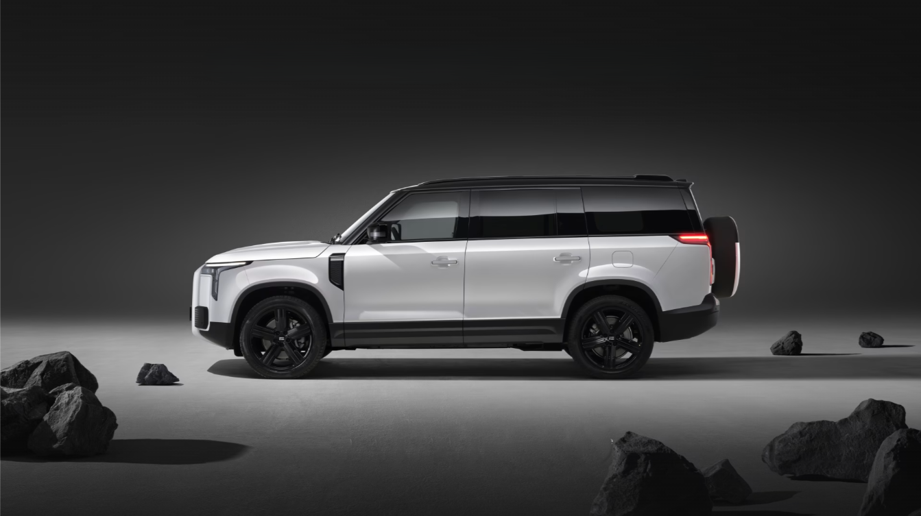 Robust Aesthetic with an Extra-Large Body